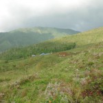 DSCF0822